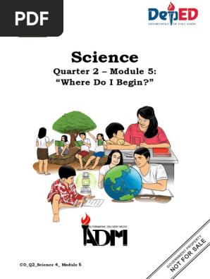 science4_q2mod5_wheredoibegin_v2.1