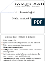 Fakulteti I Stomatologjisë Lënda: Anatomi I