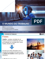 Ae Ai 6 3 Organizacoes Trabalho