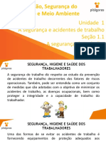 Slides 1.1 - Segurança Pita