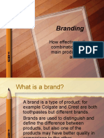 Branding: How Effective Is The Combination of Our Main Products and Ancillary?