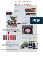 Elaboracion de Vino de Capuli Infograma