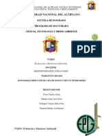 Monografia Universidad Nacional Del Altiplano