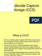 Lect.5b1. Carbon Capture and Storage