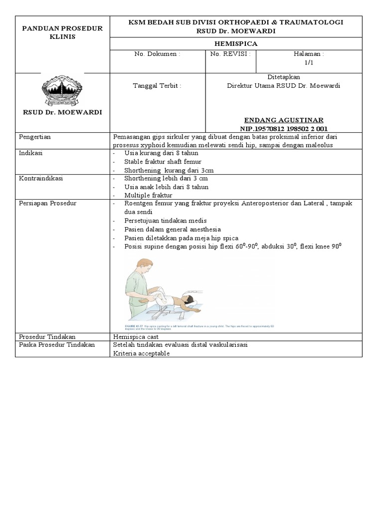 Ppk Tindakan Hemispica Pdf