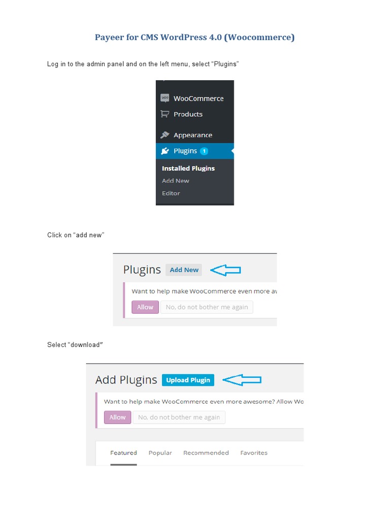 Payeer (Woocommerce) en | PDF