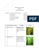 LAPORAN IDENTIFIKASI TANAMAN BUDIDAYA KELOMPOK 6 Fix