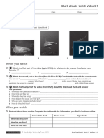 Shark Attack Worksheet