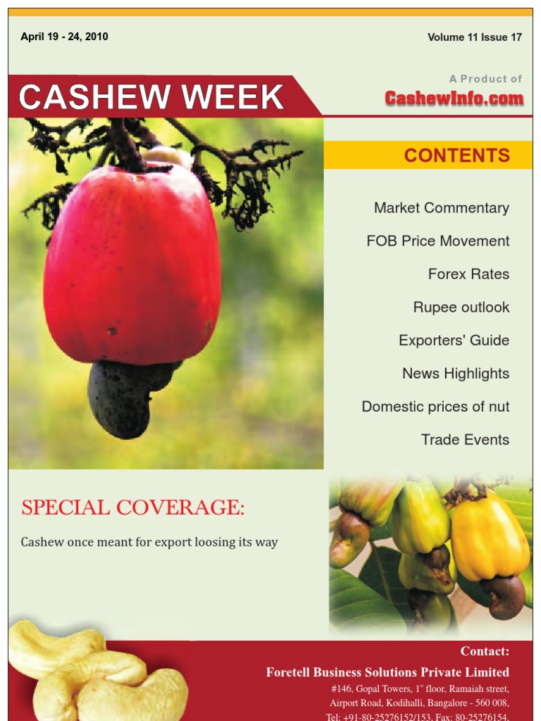 Cashew Price Foods Economies