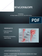 Paparan Esofagoskopi