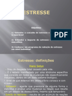 Aula Sobre Estresse