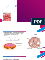 Hernia Diafragmatica 2