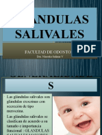 Glandulas Salivales