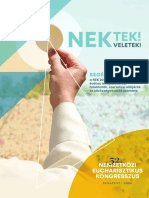 Nektek - Veletek - IEC 2020