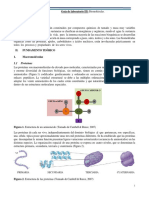 Guía biomoléculas laboratorio