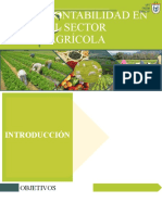 Contabilidad Sector Agrario 1