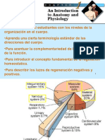 Control Motor 1