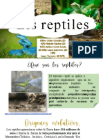 Reptiles