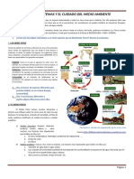 Ecosistemas y cuidado del medio ambiente