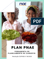Plan Pnae - Manual