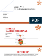 Sistema Digestivo y Sistema Respiratorio Geupo 4