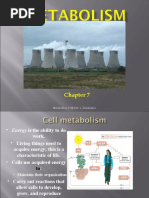 Metabolism: FON 241 L. Zienkewicz