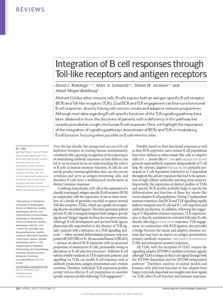 Integration of B Cell Responses Thru TLR and BCR 2012 - Nat Rev Immunol ...