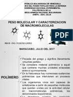 Peso Molecular y Caracterizacion de Macromoleculas Modificado