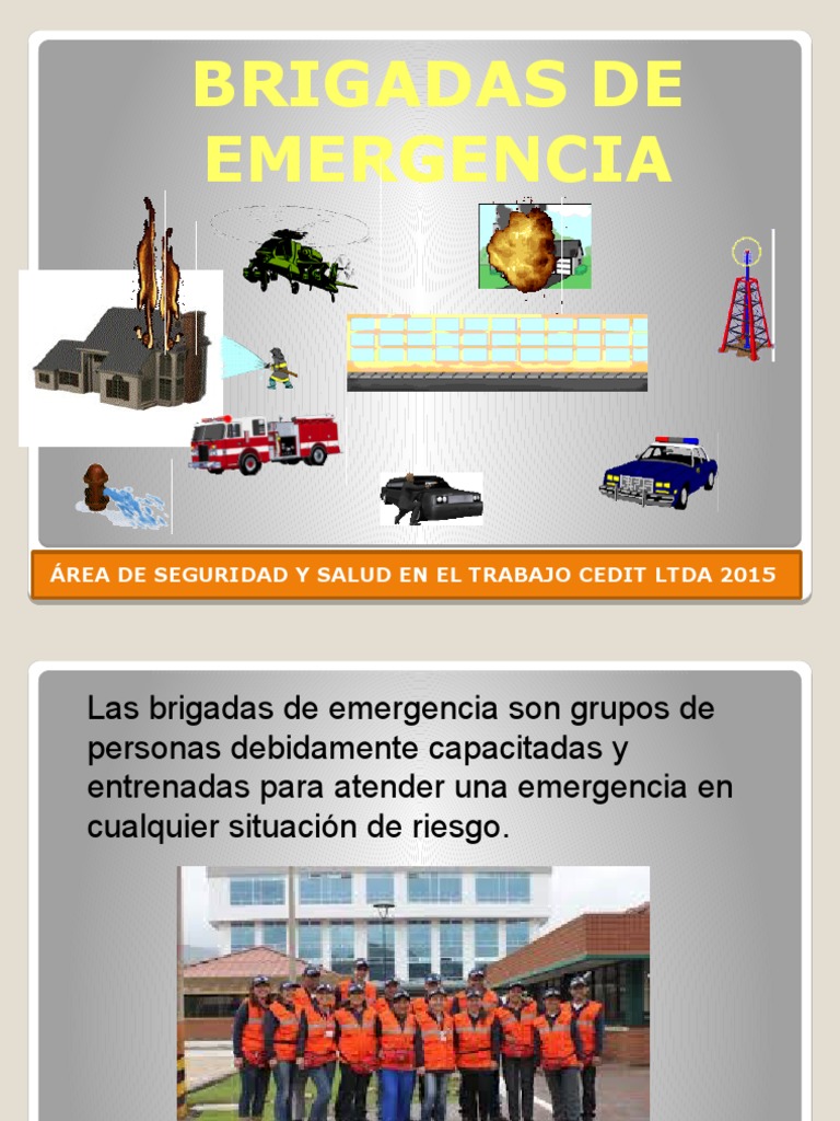 Tipos y Funciones de Brigadas de Emergencia | PDF | Primeros auxilios ...