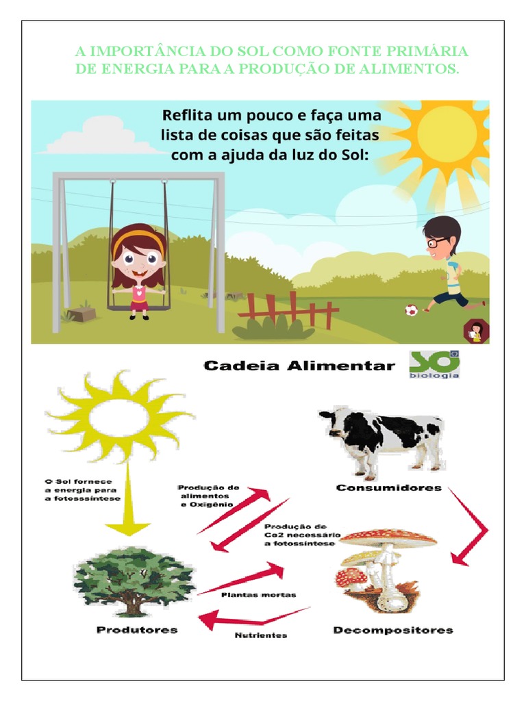 A Importância Do Sol para As Plantas | PDF | Fotossíntese | Sol