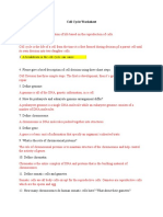 Cell Cycle Worksheet