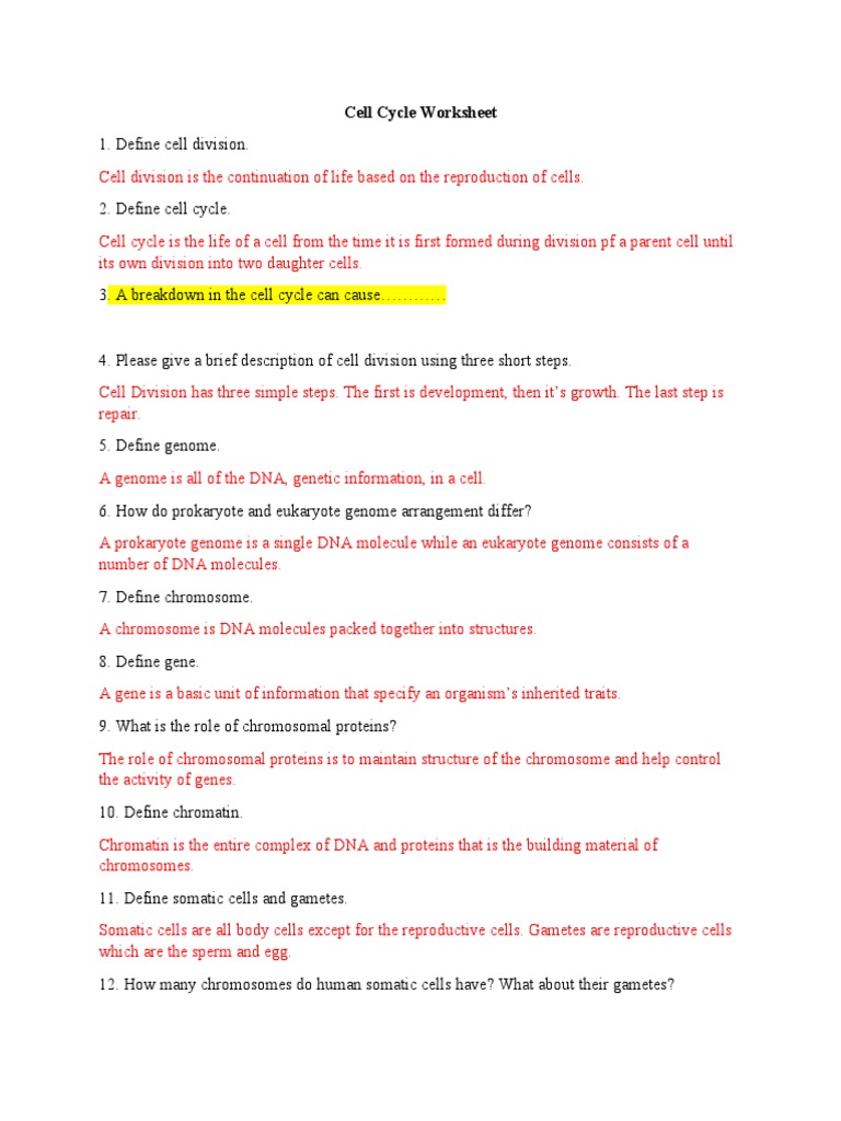 Cell Cycle Worksheet | PDF | Mitosis | Cell Cycle