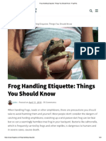 Frog Handling Etiquette_ Things You Should Know - FrogPets