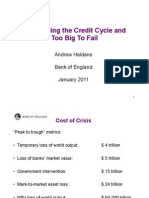 Andrew Haldane, Executive Director, Financial Stability - Bank of England: On Tackling The Credit Cycle & Too Big Too Fail :20 Jan 2011