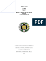 Inisiasi Akar Paper Oleh: Moses Vandheraja Sidabutar 190301157 Agroteknologi 3