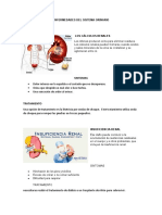 Enfermedades Del Sistema Orinario