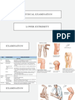 Physical Examination Lower Extremity