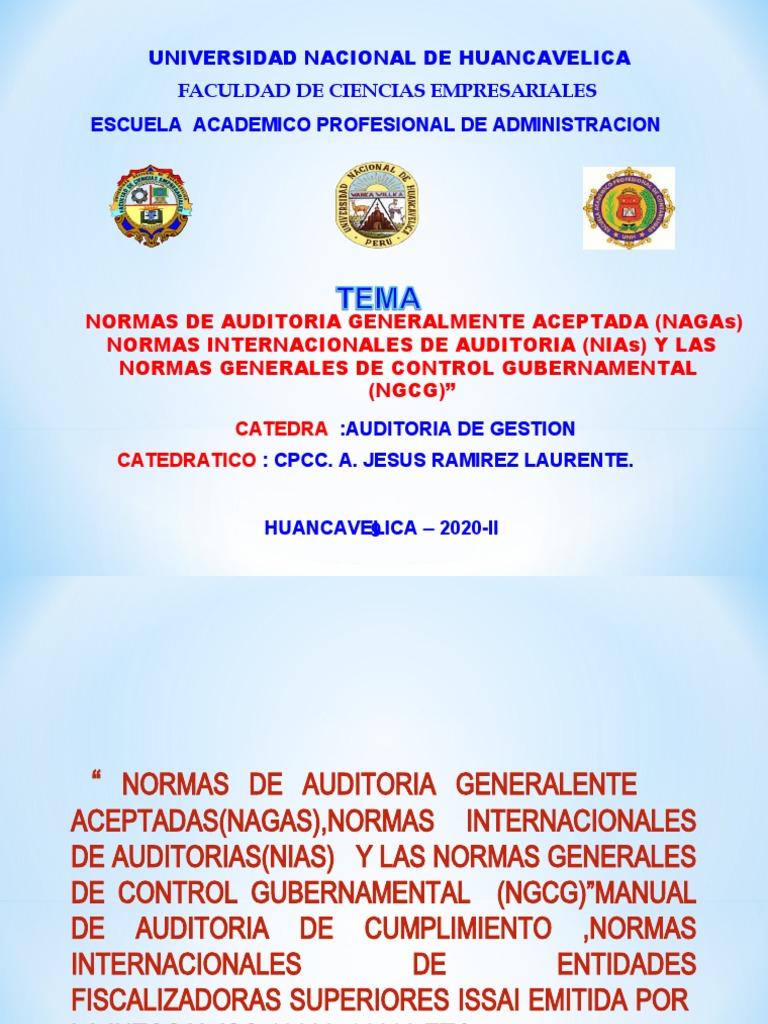 Normas de Auditoría y Control Gubernamental | PDF | Auditoría | Contralor