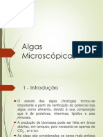 Slide Q - Algas Microscópicas - Nov2016