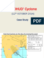 Cyclone Hud Hud Case