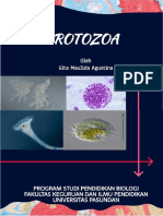 Protozoa