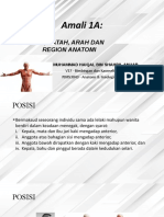 Posisi, Satah, Arah & Region Anatomi