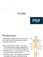 Tulang DG DR - TATA