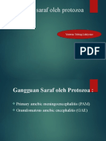 GANGGUAN_SARAF_OLEH_PROTOZOAAAA[1] (1)