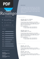 OULIXES Resume Template