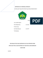 KEPERAWATAN MEDIKAL BEDAH II_advokat