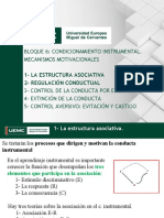 Tema 1 y 2. Estructura Asociativa y Regulación Conductual