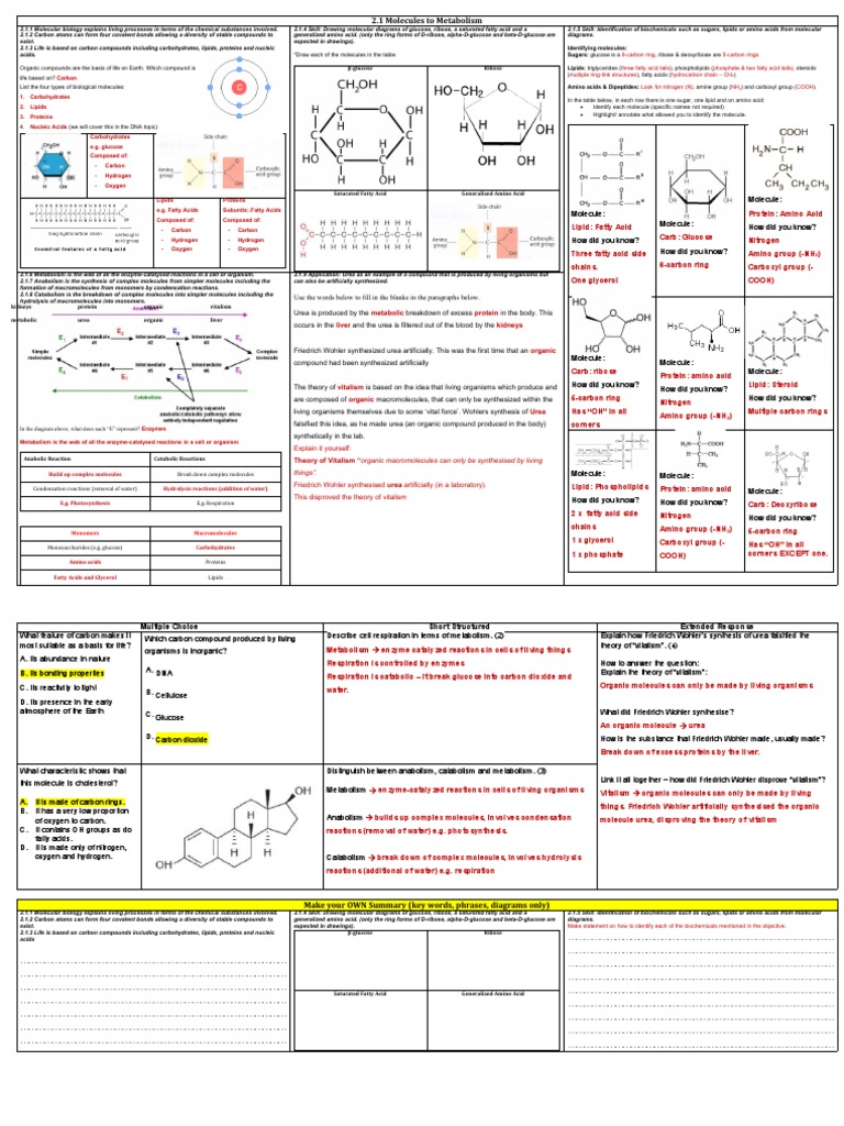 Understanding Biological Molecules and Metabolism | PDF | Metabolism ...