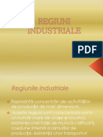 X_Tema 2_Regiuni industriale