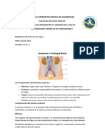 Anatomia y Fisiologia Renal